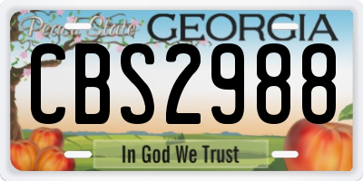 GA license plate CBS2988