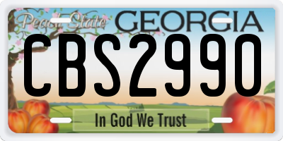 GA license plate CBS2990