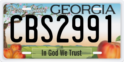 GA license plate CBS2991