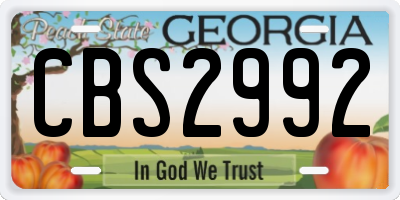 GA license plate CBS2992