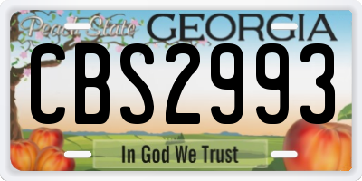 GA license plate CBS2993