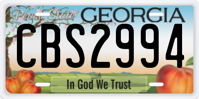 GA license plate CBS2994
