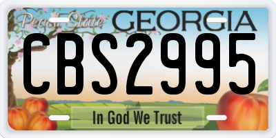 GA license plate CBS2995