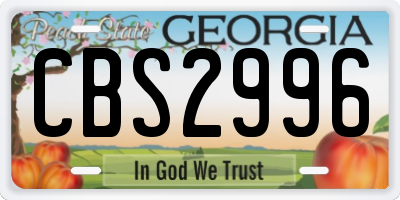GA license plate CBS2996