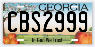 GA license plate CBS2999