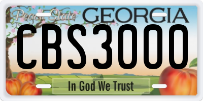 GA license plate CBS3000