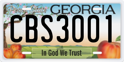 GA license plate CBS3001