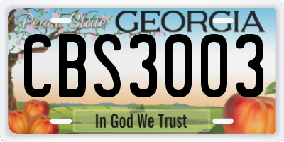 GA license plate CBS3003