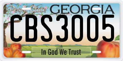 GA license plate CBS3005