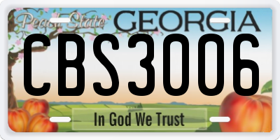 GA license plate CBS3006