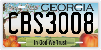 GA license plate CBS3008