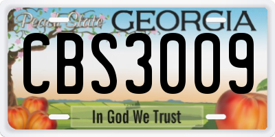 GA license plate CBS3009