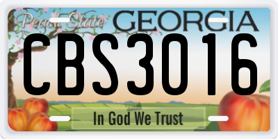GA license plate CBS3016
