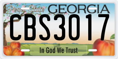 GA license plate CBS3017