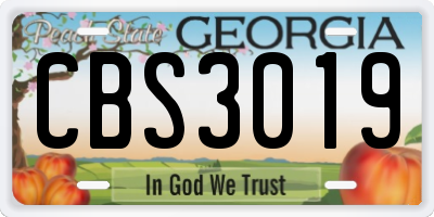 GA license plate CBS3019