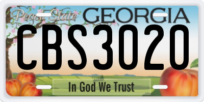 GA license plate CBS3020
