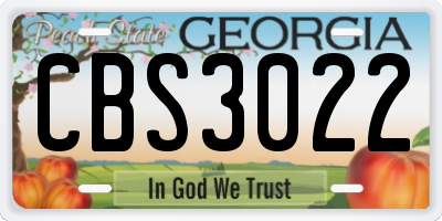 GA license plate CBS3022