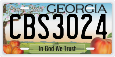 GA license plate CBS3024