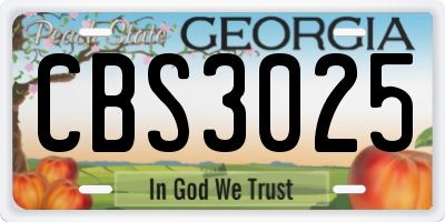 GA license plate CBS3025
