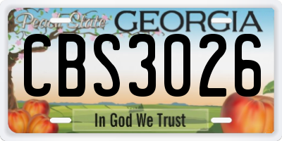 GA license plate CBS3026