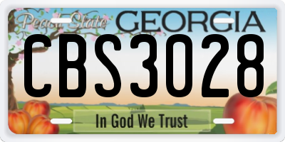 GA license plate CBS3028