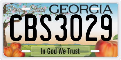 GA license plate CBS3029