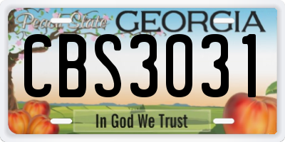 GA license plate CBS3031
