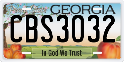 GA license plate CBS3032