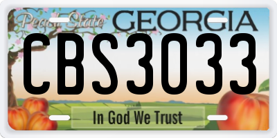 GA license plate CBS3033