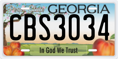 GA license plate CBS3034