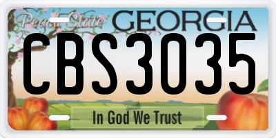 GA license plate CBS3035