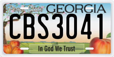 GA license plate CBS3041