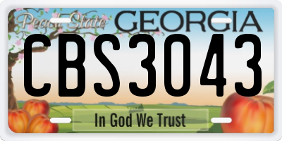 GA license plate CBS3043