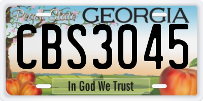 GA license plate CBS3045
