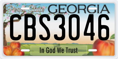 GA license plate CBS3046
