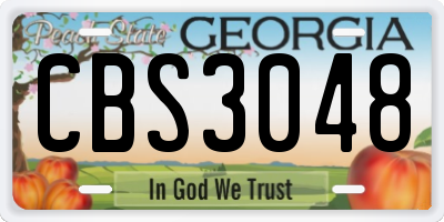 GA license plate CBS3048