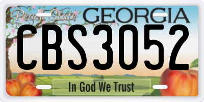GA license plate CBS3052