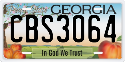 GA license plate CBS3064