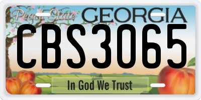 GA license plate CBS3065
