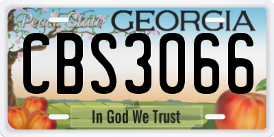 GA license plate CBS3066