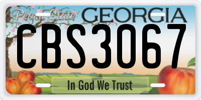 GA license plate CBS3067