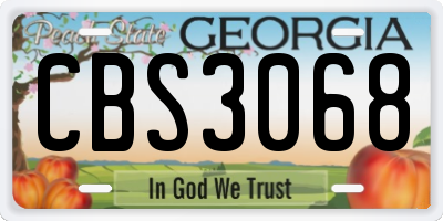 GA license plate CBS3068