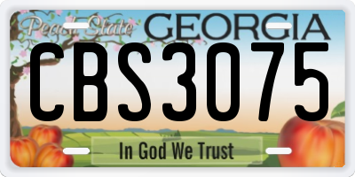 GA license plate CBS3075