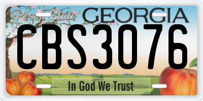 GA license plate CBS3076