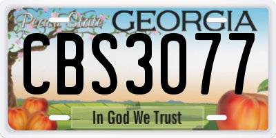 GA license plate CBS3077