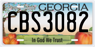 GA license plate CBS3082