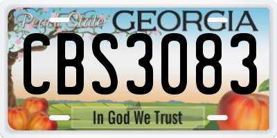 GA license plate CBS3083