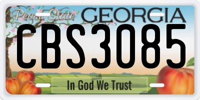 GA license plate CBS3085