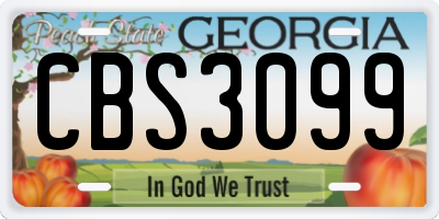GA license plate CBS3099