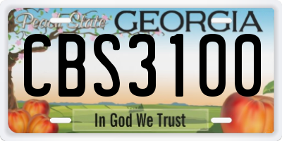 GA license plate CBS3100